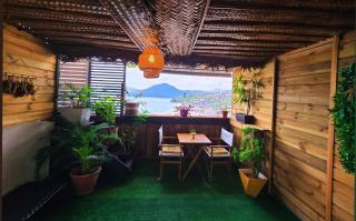 BELSOL Ambiance tropicale, Confort & Détente - 9