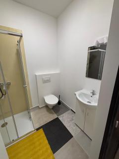 Comfortable apartment after renovation near the center - 5