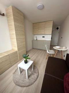 Stylish apartment right in the heart of Košice - 4