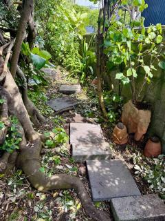 Messenger Magic - classic 5BR Kiwi bach - 1