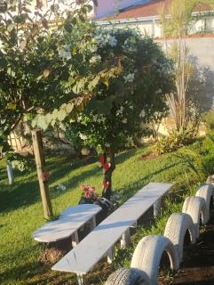 Sítio Bela Vista - 7