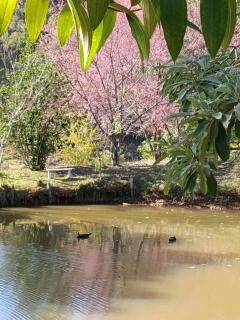 Sítio Bela Vista - 8