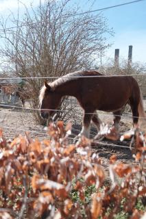 Bohemian Luxury in Carlsberg City - 2 bedrooms - 8