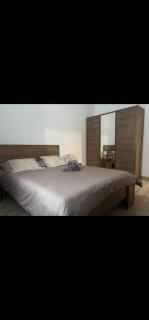 Tautiului 222 apartment - 8