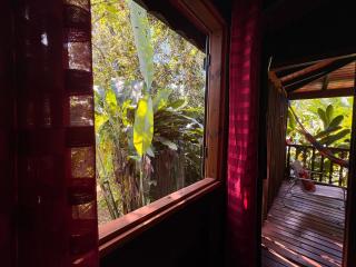 Bungalow créole en pleine nature - 4