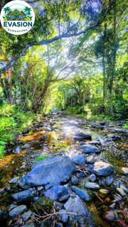 EVASION Bungalow d'Antan Spa - Sarraméa - 8