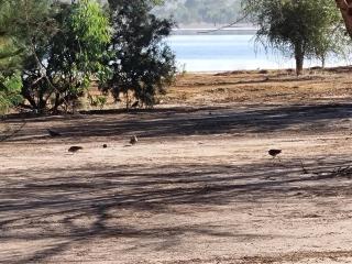 Kabacoto Lodges et Safari - 8