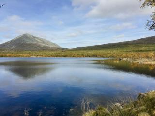 Simple Mountain Cabin Near Vinstra - 8