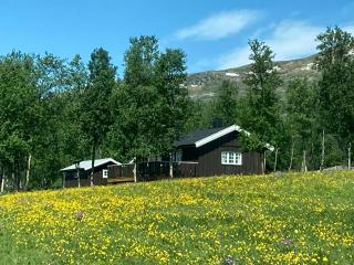 Simple Mountain Cabin Near Vinstra - 6