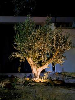 Quinta La Terquedad - 2