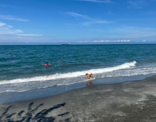 Oasis - inmueble boutique pozos colorados - 7