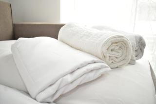 Casa Berta - Downtown Apartment - Praia - 4