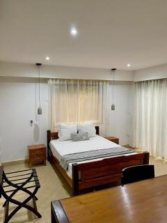 Appartement moderne et spacieux avec jardin privatif - 3