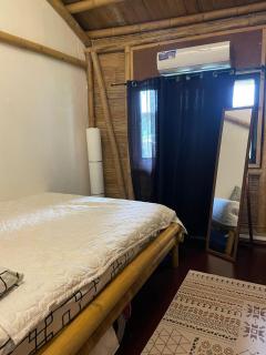 hava oasis tropical house - 5