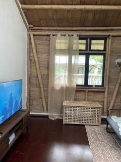 hava oasis tropical house - 1