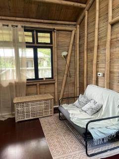 hava oasis tropical house - 2