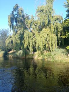 Espacio de relax - 6