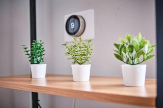 Chic Apt in the Heart of Portrush - Princess Green 2 - 5