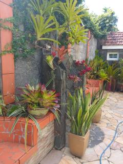 La Parenthèse Verte - 5