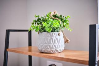 Portrush Penthouse Step to Beach- Princess Green 3 - 6