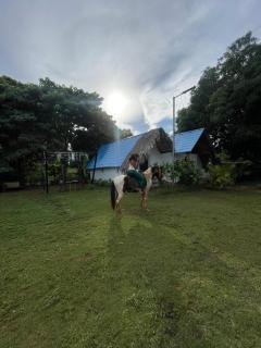 Dreamvilles Ecovillage - 1