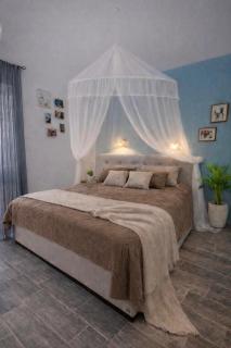 Ocean Eleven Vue Mer 100m Plage Sainte Anne - 9