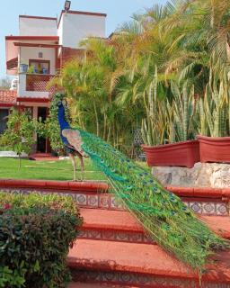 Posada Los Alcatraces - 9