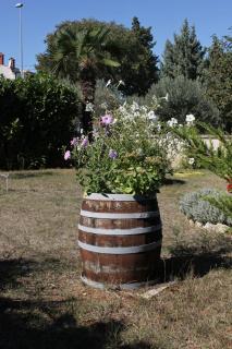 Apartments with parking space Valbandon, Fazana - 7227 - Fažana - 2