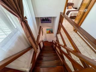 Maytenus Galapagos - 6