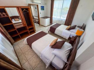 Maytenus Galapagos - 4