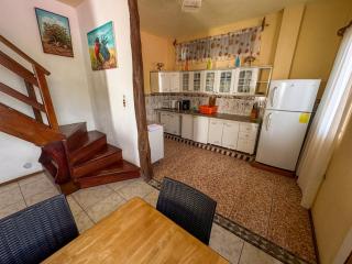 Maytenus Galapagos - 8