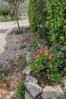 Apartments with parking space Zdrelac, Pasman - 21549 - 2