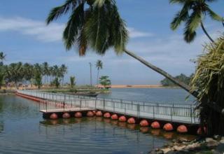 Abhinavam Temple View- Furnished Drive-in Villa #Few drive minutes away from Muthalapozhi ,Anjuthengu fort and Varkala beach - 2