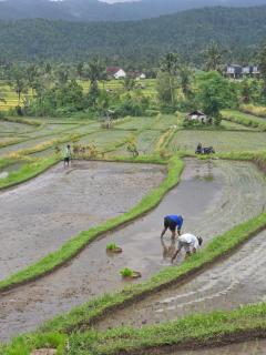 MAYURA BALI VILLA - 9