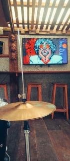 PapallactaRoots79 - 1