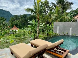 Wanataru Sidemen Villas - 9