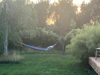 Natürliches Licht Und Kurzer Weg Zum Wasser In Ferienhäusern - 2