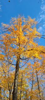 Sunset Heaven 3 Bedroom Lakefront Retreat - 9