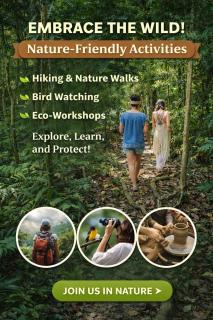 Ganesha Homestay, Cochin, Near Paniyeli Poru Waterfalls - 8