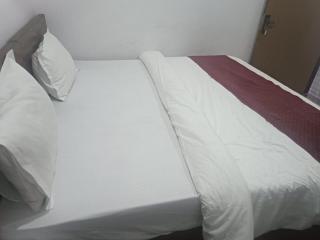 Hotel golden eagle Home stay - 1