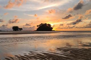 Cocoon Villa 6 - Eden Escape 3 BR - Pool - Garden - 9