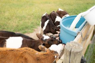 Field and Fleece Farm Stay by Tiny Away - 9