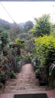 Green House - Nallathanniya - 4
