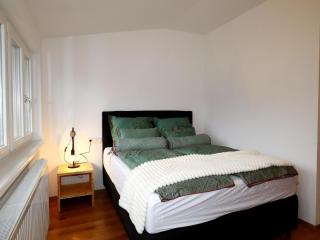 Holiday apartment in Bregenzerwald near forest - 1