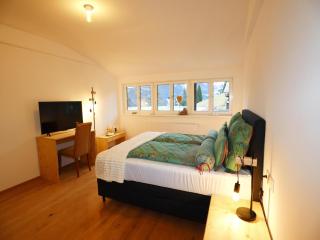 Holiday apartment in Bregenzerwald - 1