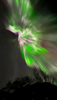 Kaldfjord Sea House - 5