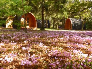 La Rossignolerie - POD Cabanes des châteaux - Chouzy-sur-Cisse - 0