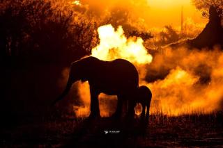 Mkhuze Trails Lodge - Hluhluwe - 8