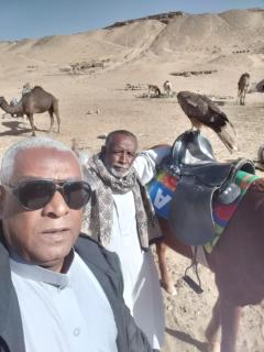 Mourad morsy مراد - 8