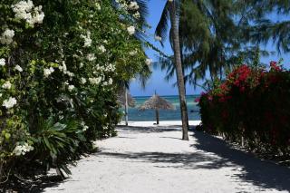 Maji Villa - A touch of Africa - 1